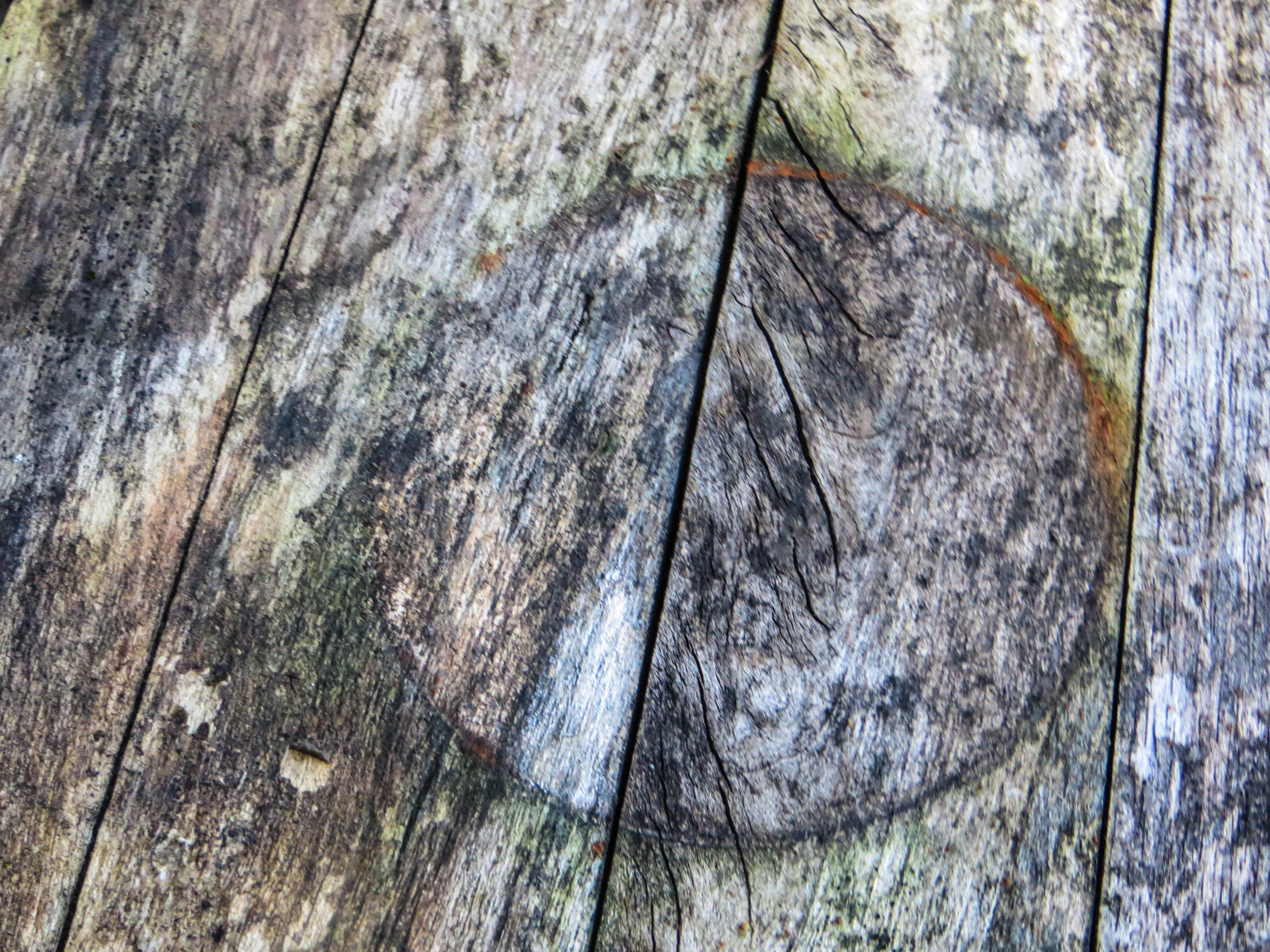 Aging Is Beautiful Too