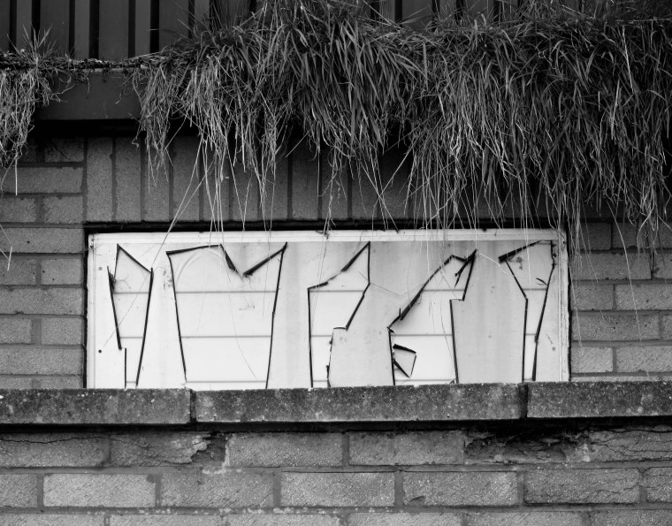 Hieroglyphs, Grass and Glass