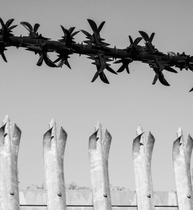 POST APOCALYPSE FLOWERS