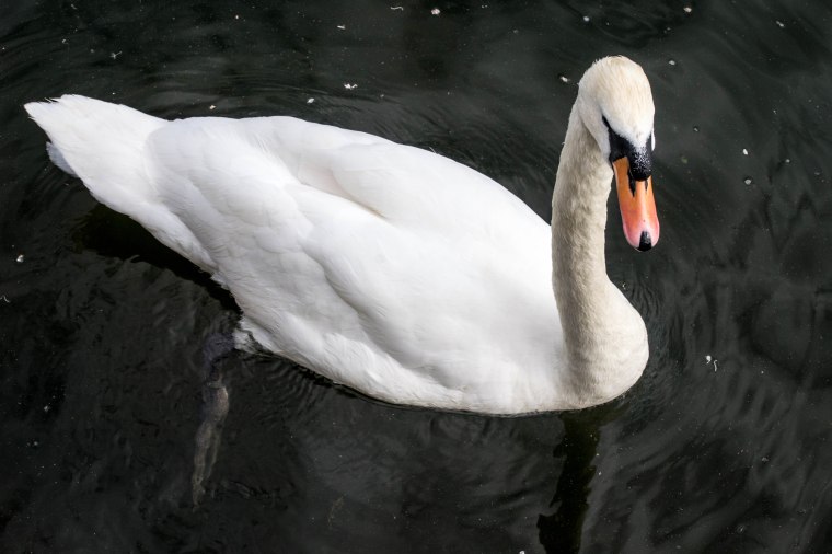 THE PROPERTY OF HMTHE  QUEEN