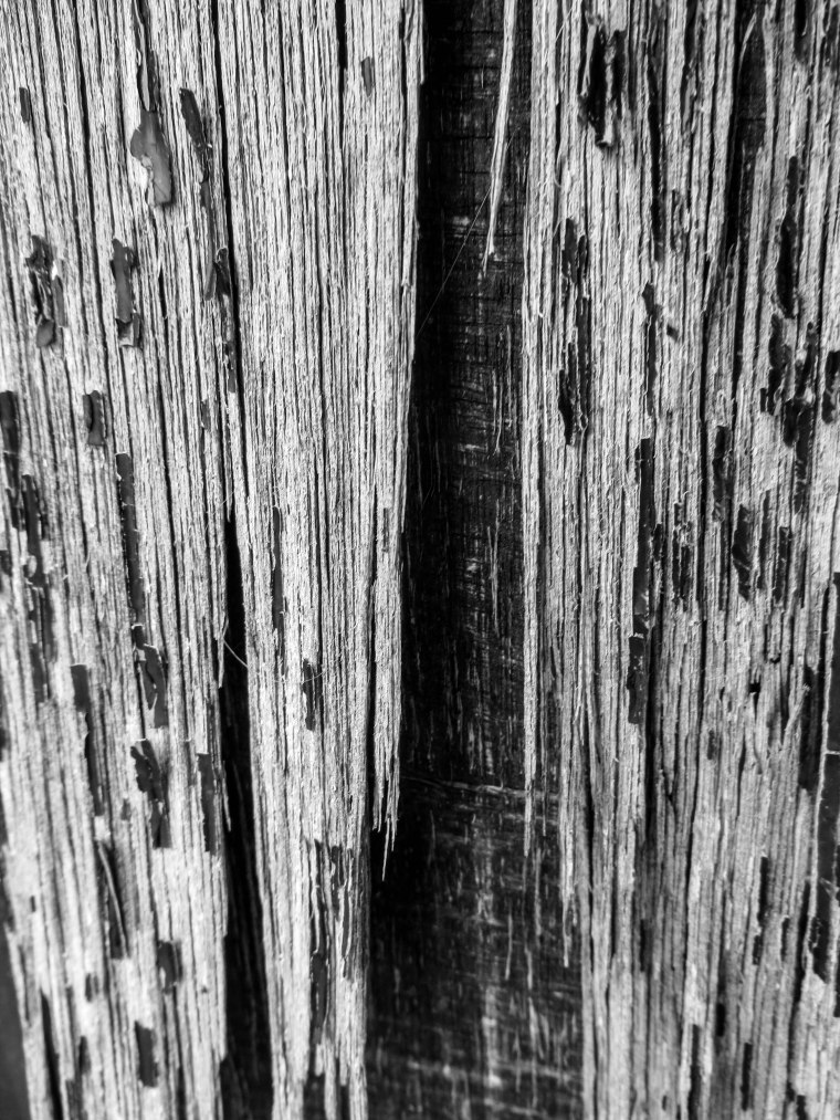 TEXTURE NUMBER I FORGET