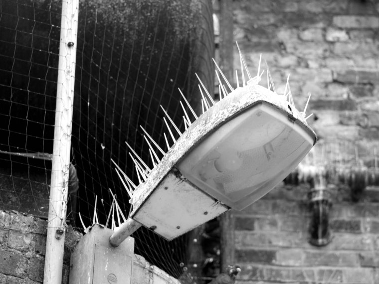 HAIRBRUSH OF THE GODS