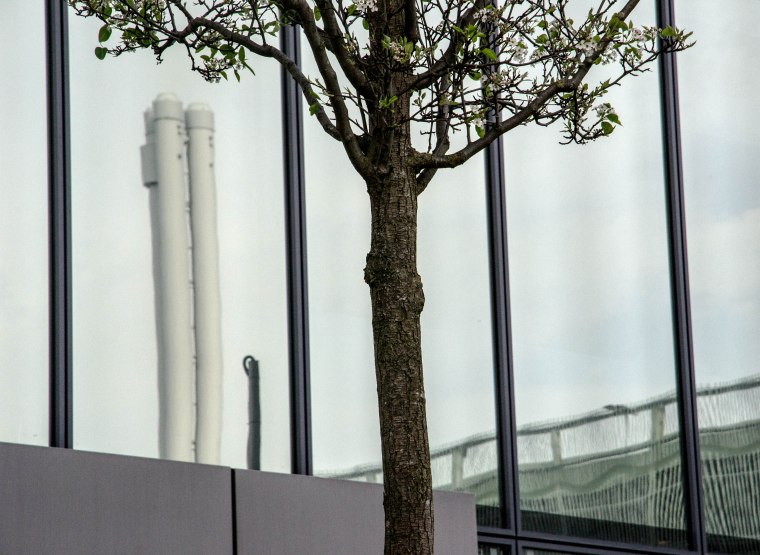 ART ALWAYS IMITATES NATURE