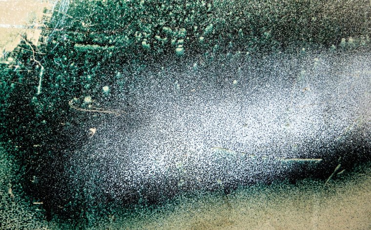 RAIN FOREST DECIMATION