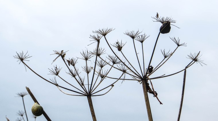 Sign of the Times-75