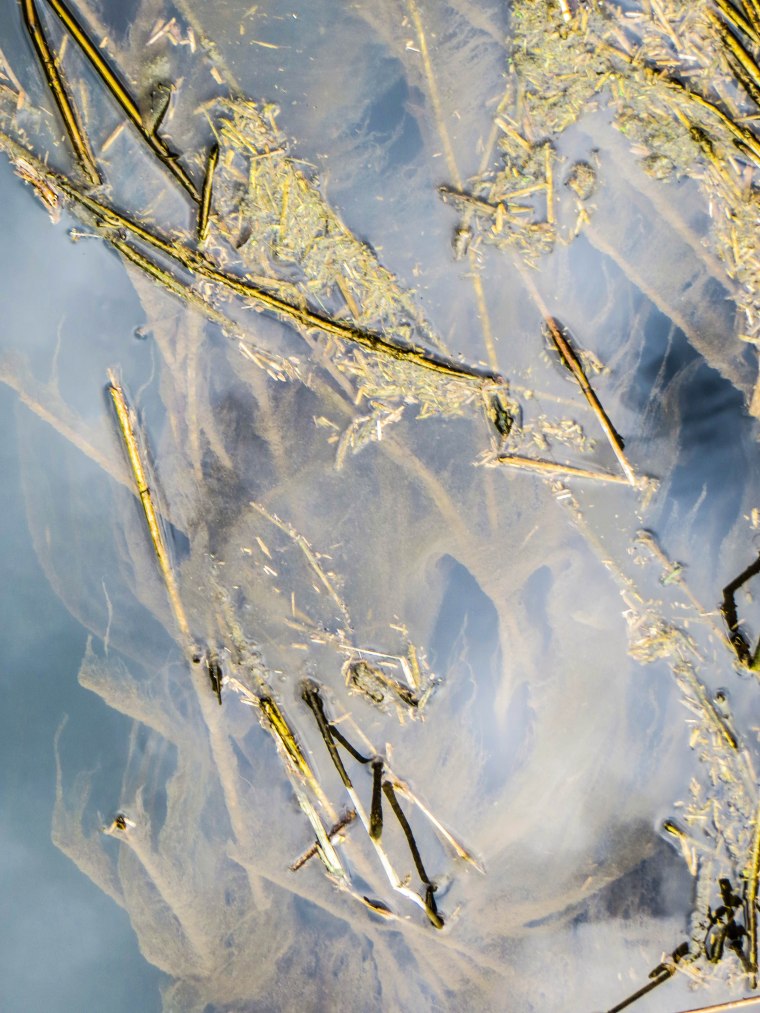 Sign of the Times-78