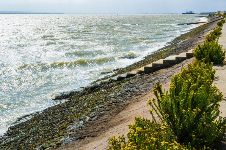 Sign of the Times-117