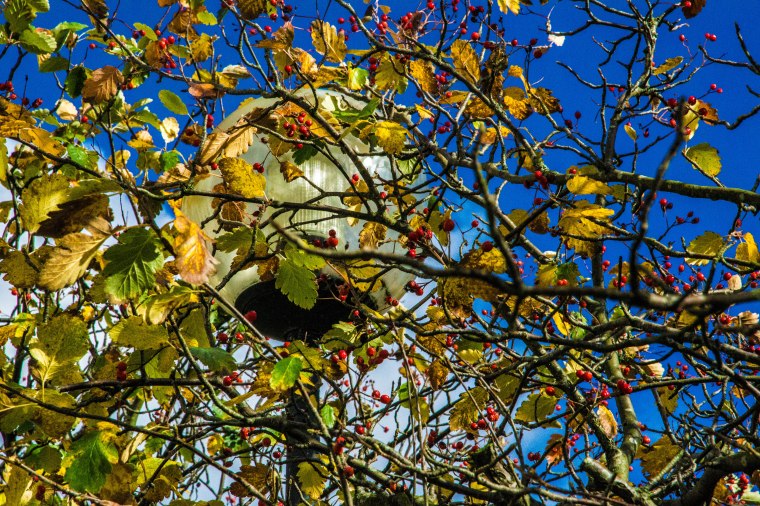 Sign of the Times-179