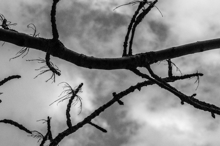 Sign of the Times-180