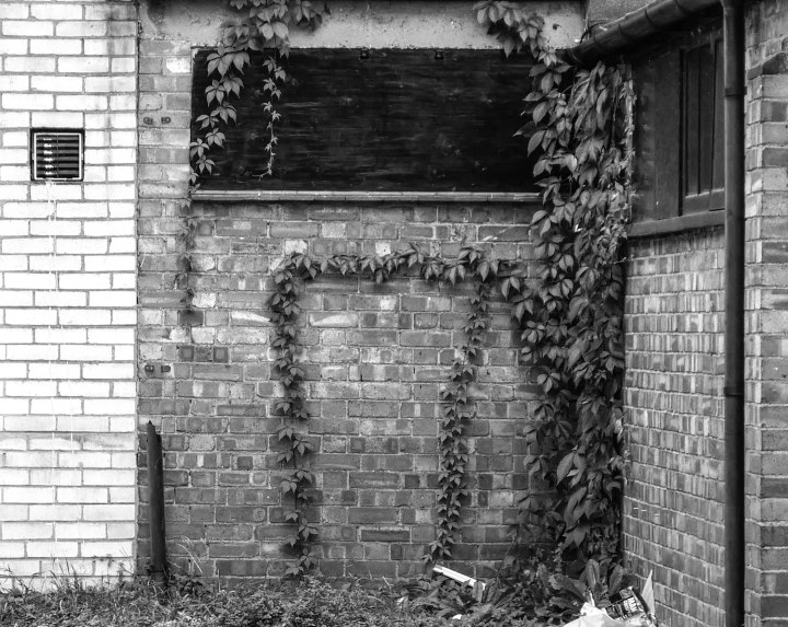 Sign of the Times-329