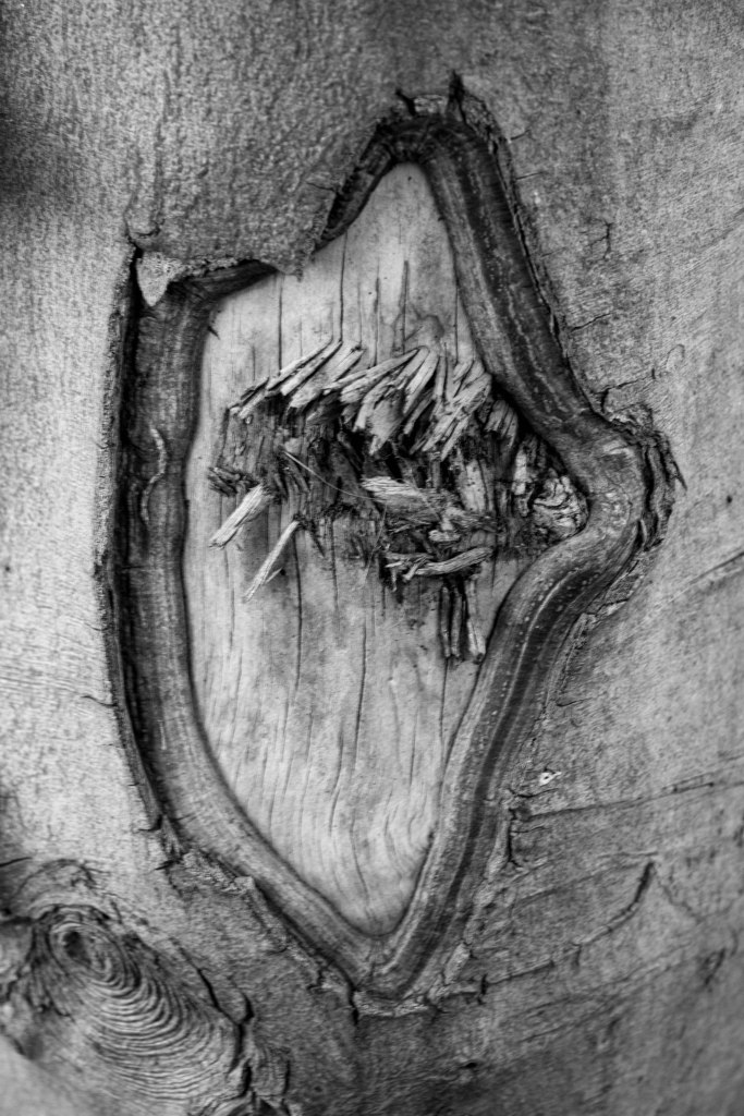 Sign of the Times-342