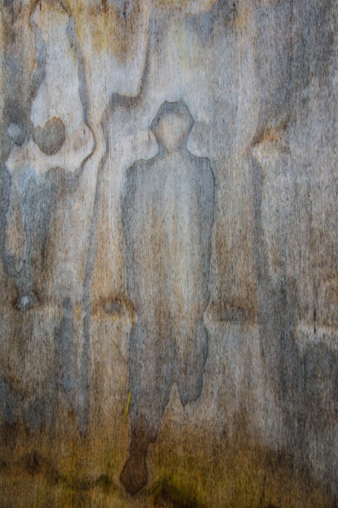 Sign of the Times-0388