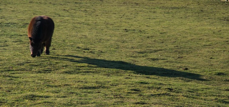 Sign of the Times-0825