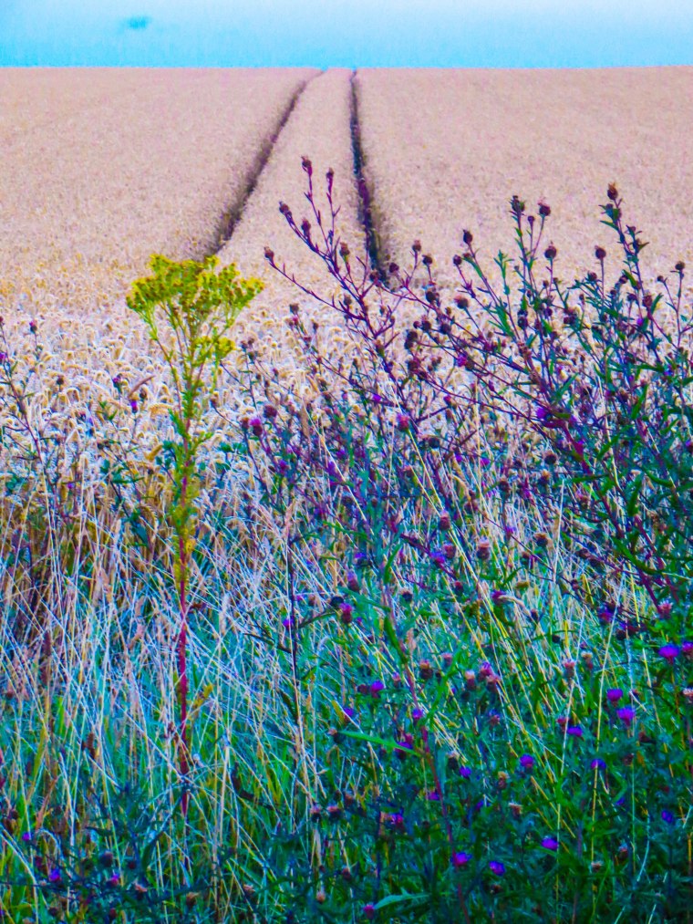 Sign of the Times-1331