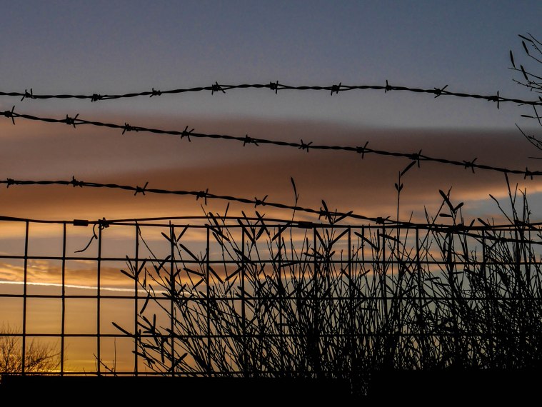 Sign of the Times-1110721