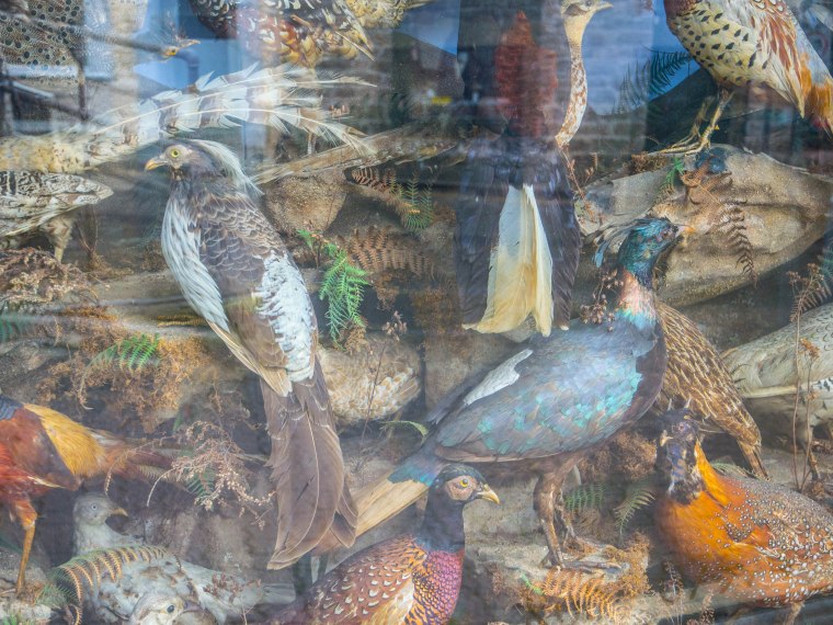 Sign of the Times-0015