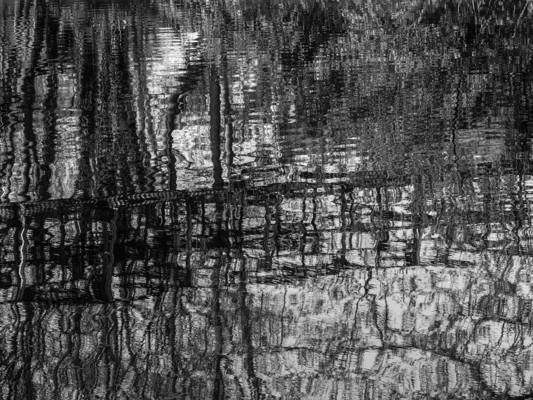 Sign of the Times-1110804