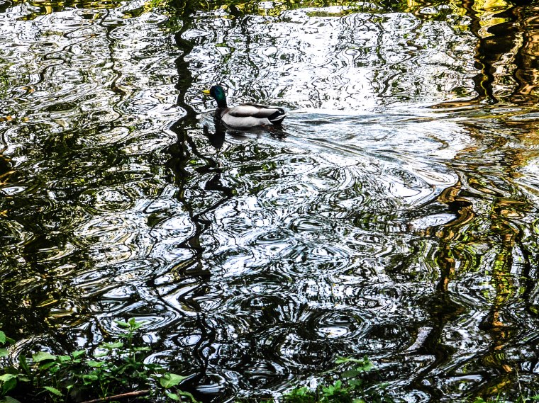 Sign of the Times-1110812