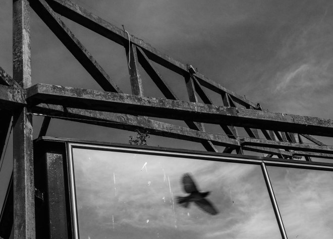 Sign of the Times-1110873