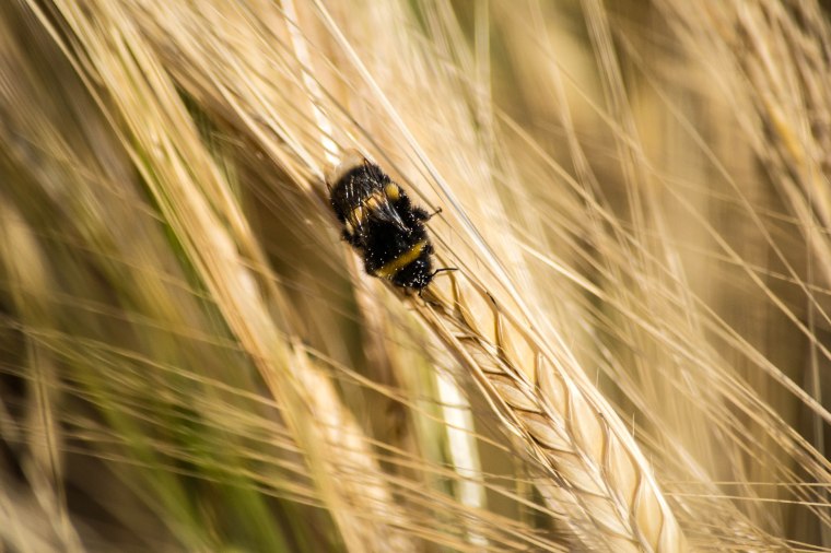 Sign of the Times-0292