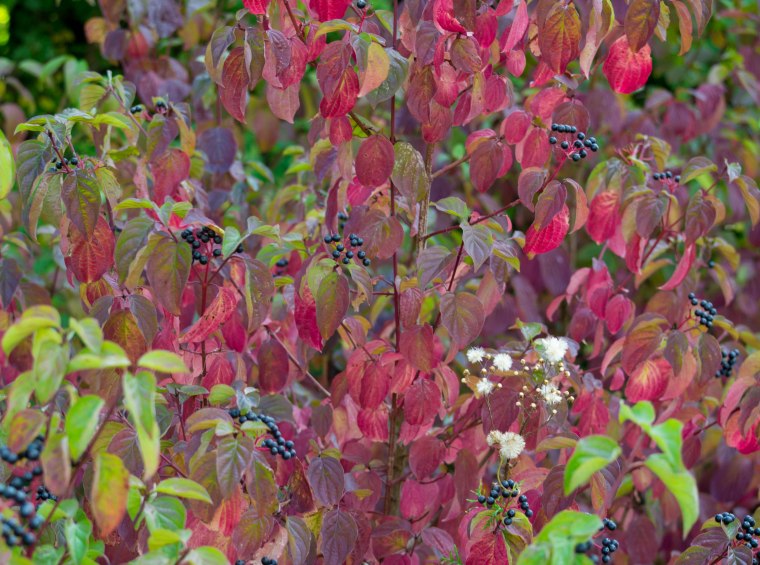 Sign of the Times-0778